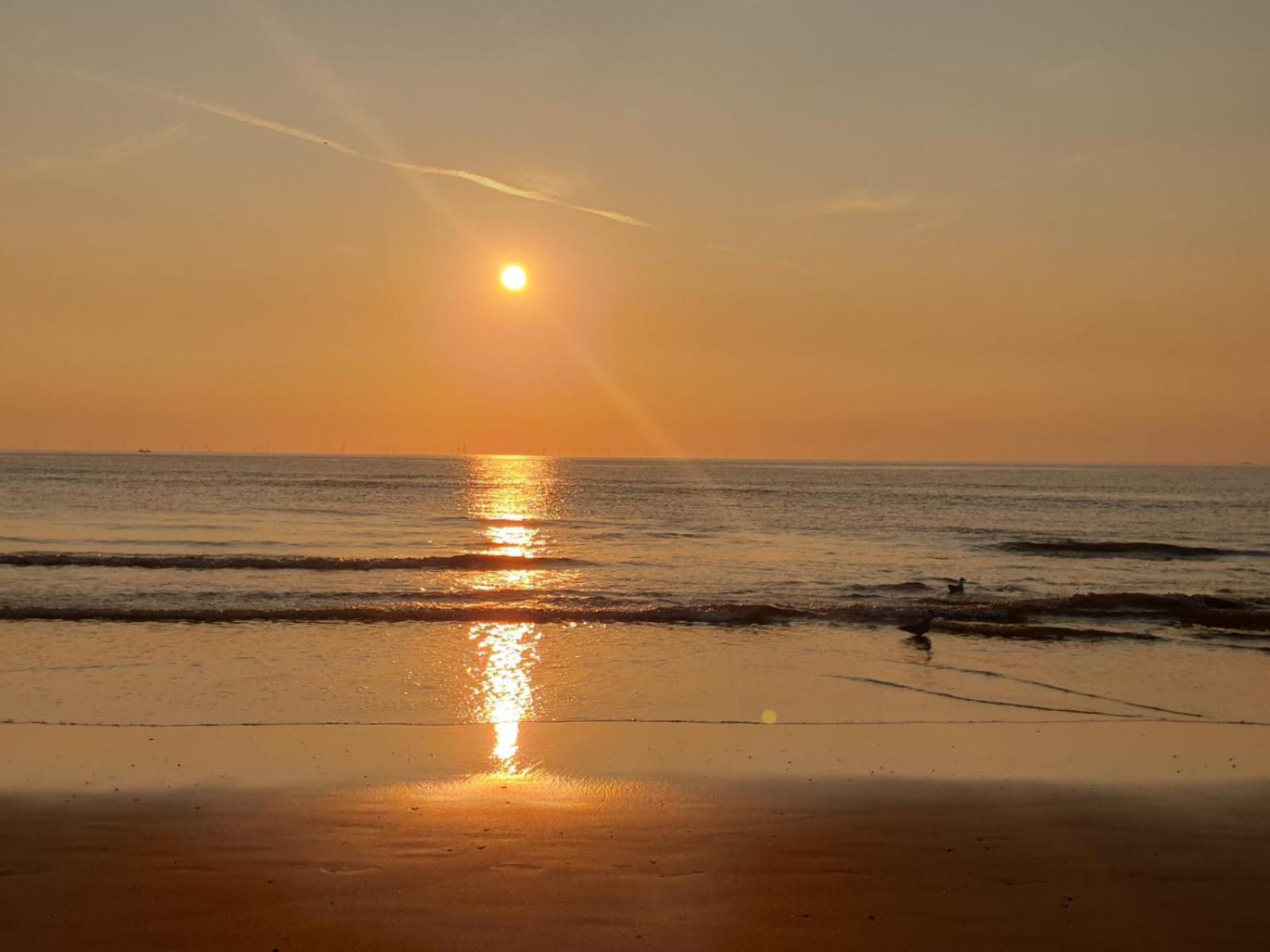 Beach-House27 Egmond aan Zee Esterno foto