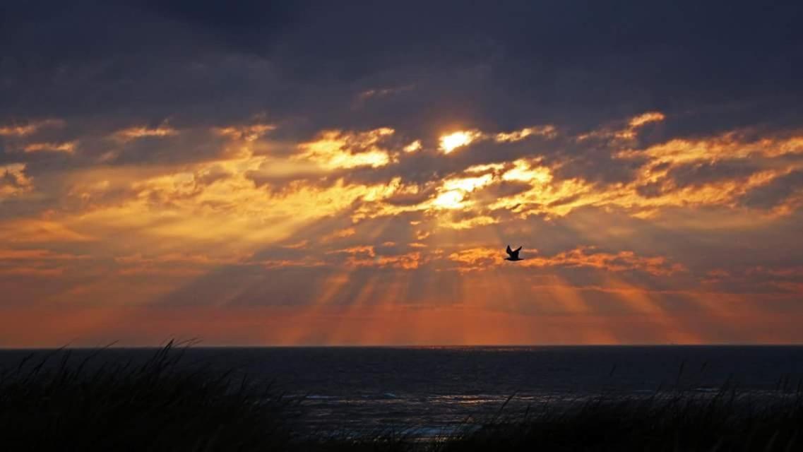 Beach-House27 Egmond aan Zee Esterno foto